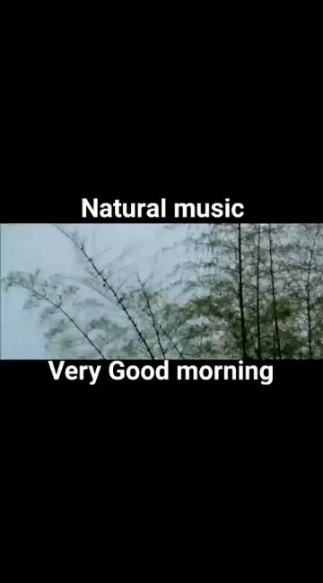 Natural Birds Music 